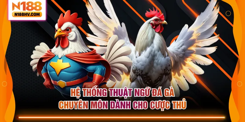 Hệ thống thuật ngữ đá gà chuyên môn dành cho cược thủ